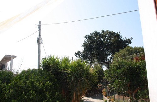 Bacoli Apartment | Quiet apartment in the countryside