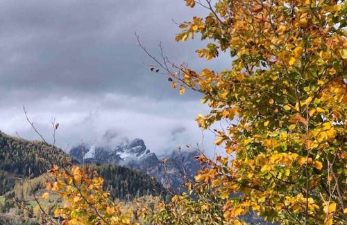 Pieve di Cadore Apartment | Quiet, Cozy, Full Equipped on the Cycle Path of the Dolomites