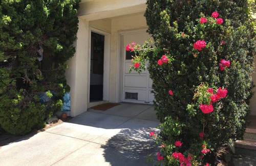 Lone Mountain Apartment | Quiet Garden Apt., geographic center of The City