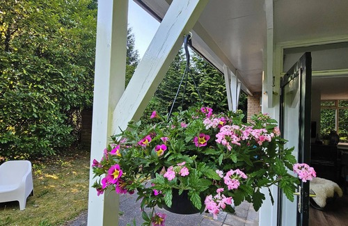 Gasselte House | Quiet location with enclosed garden offering plenty of privacy, pets welcome.