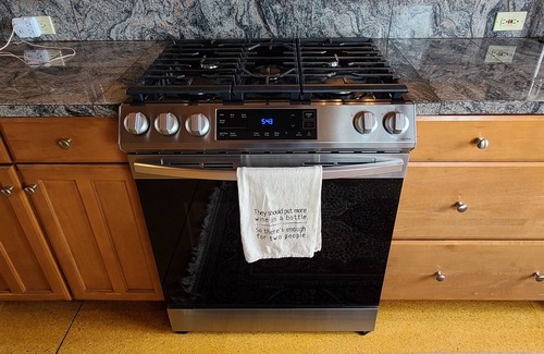 Taos House | Quiet, Pet Friendly Home with Mountain Views. Fenced area for dogs to roam