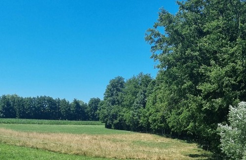 Butten Bed & Breakfast | Quiet stay on the farm, with activities for families