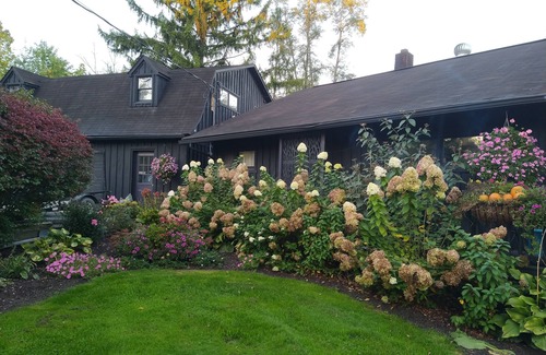 Camptown Apartment | Quiet, whimsical country apartment with a private deck. Pets welcome.