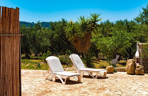 Skafidia Apartment | Quietly located in the olive grove, close to the sea and only 32 km from Olympia.
