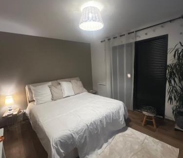 Blois Bed & Breakfast | Quiniere - Entre Lac et Forêt - chambre indépendante