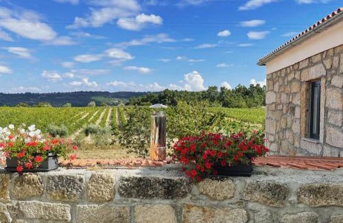 Meda House | Quinta da Corga