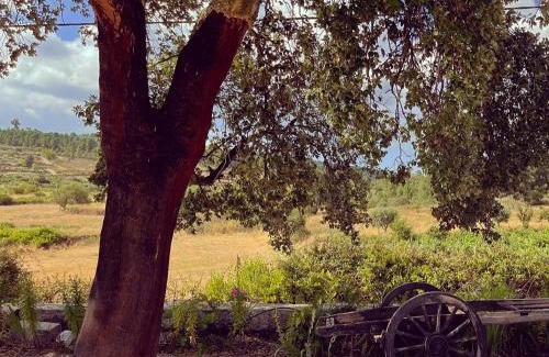 Meda House | Quinta da Corga