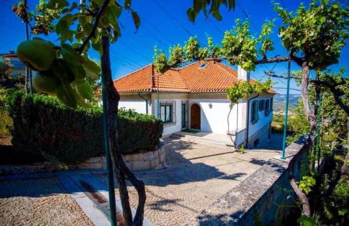 Lamego Villa | Quinta da Mesquinhata