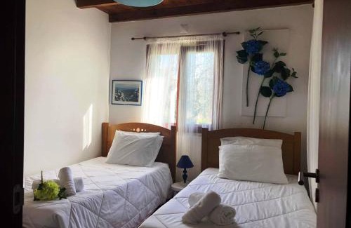 Santa Maria dos Olivais House | Quinta da Ti Júlia