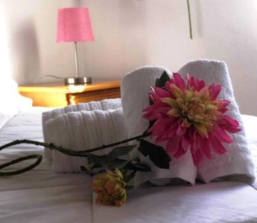 Santa Maria dos Olivais House | Quinta da Ti Júlia