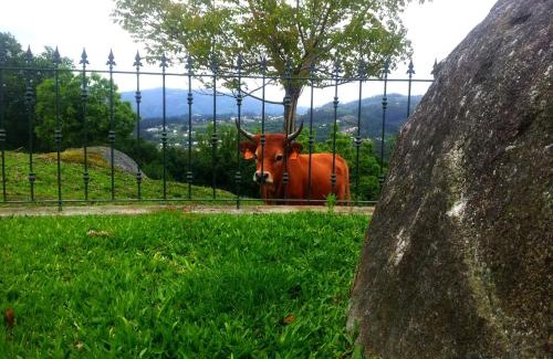 Bico House | Quinta da Toural