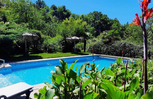 Vila Cha do Marao House | QUINTA DE RIBAS - Les Bougainvilliers charming house for families or groups