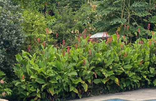 Vila Cha do Marao House | QUINTA DE RIBAS - LE VERGER - SMALL CHARMING GITE