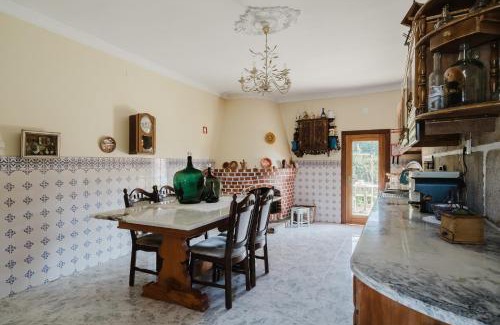 Arcos de Valdevez Villa | Quinta do Passal - Gondoriz