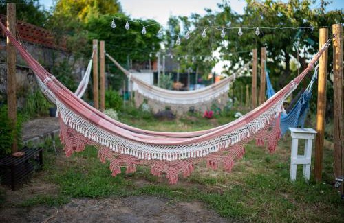 Alijo House | Quinta do Sol