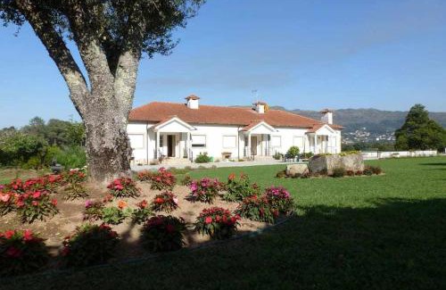 Cossourado Apartment | Quinta dos Brazilaves - Ponte de Lima