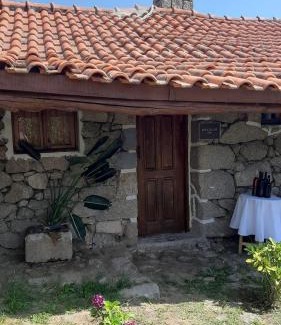 Lamego House | Quinta dos Carvalhos The Wine House Farm in Center of Lamego - Capital of the Douro