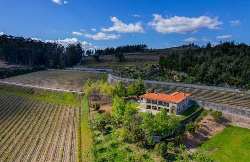 Guimaraes House | Quinta Picouto de Cima