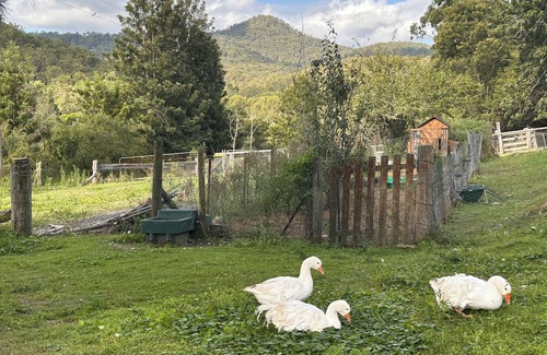 Wollombi Cottage | Quirky Country Cottage at Wollombi, 2hrs from Sydney CBD in the Hunter Valley.