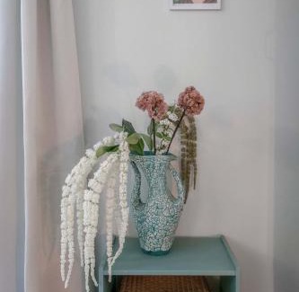 Vieux Vichy Apartment | Résidence Aristide Briand - Appartements en Centre Ville