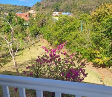 Sainte-Anne Apartment | Résidence les salines