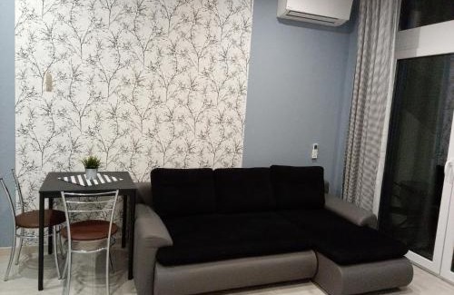 Fabryczna Apartment | Róża- Lotnisko