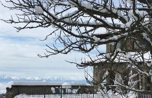 Cissone Bed & Breakfast | Radice Verde