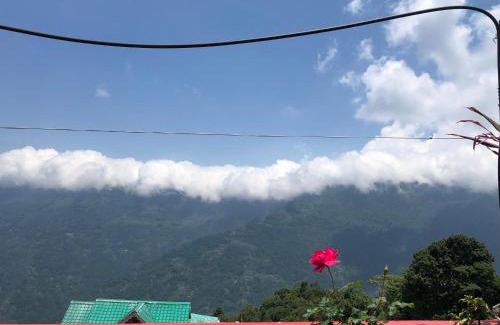 Lebong and Mineral Spring Tea Garden House | Raibas Homestay