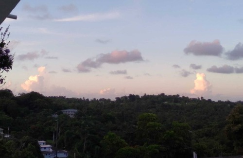 Guzman Abajo House | Rain forest view. Closed to rivers. 20 minutes to Luquillo beaches