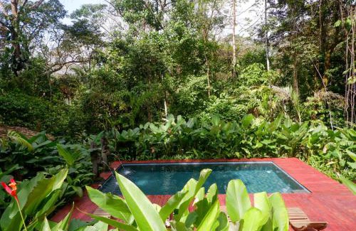 Palma Quemada Cabin | Rainbow Lodge Costa Rica