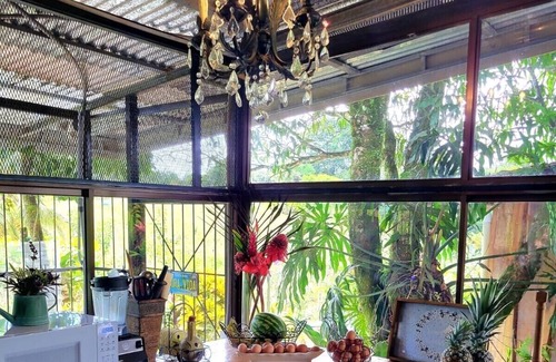 Chilamate House | Rainforest House awaits adventure seekers and nature enthusiasts.