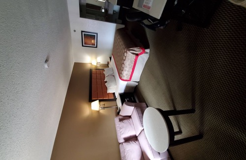 Temple Terrace Hotel | Ramada by Wyndham Temple Terrace/Tampa North