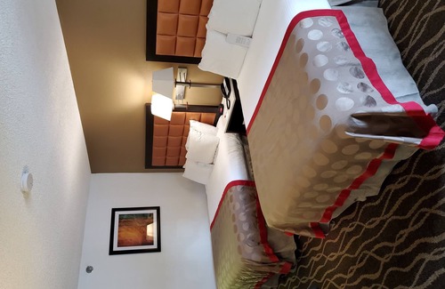 Temple Terrace Hotel | Ramada by Wyndham Temple Terrace/Tampa North