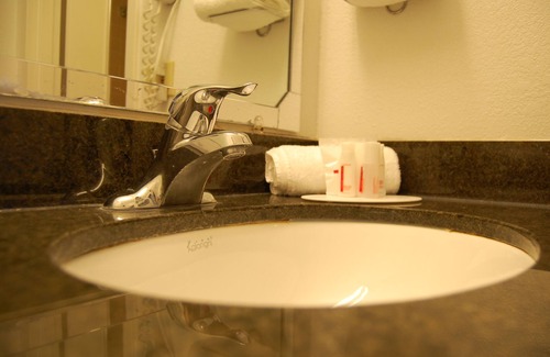 Temple Terrace Hotel | Ramada by Wyndham Temple Terrace/Tampa North