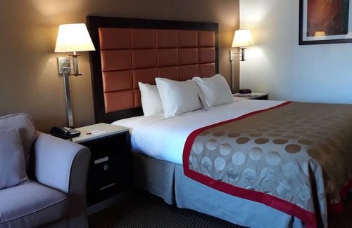 Temple Terrace Hotel | Ramada by Wyndham Temple Terrace/Tampa North