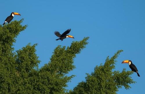 Bariri House | Rancho completo com vista na beira do rio