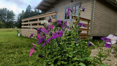 Suuresadama Apartment | Rangi Suvemaja