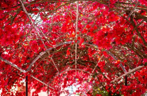 Lakones Apartment | Rapanos Apartments