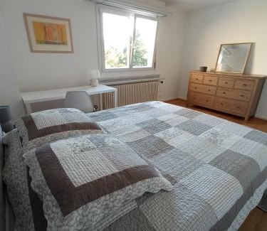 Colmar Centre Ville Apartment | Rare à Colmar - Appartement Champ de Mars vue sur Parc - 70m2 - 2 chambres