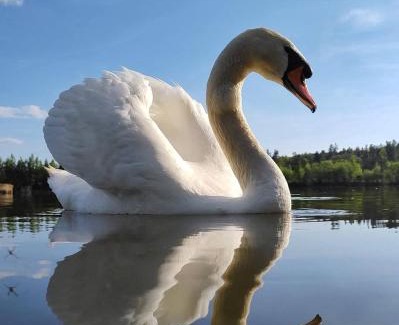 Duingt Apartment | Rare : au bord du lac d’Annecy, cosy appartement en rez de jardin avec terrasse privative