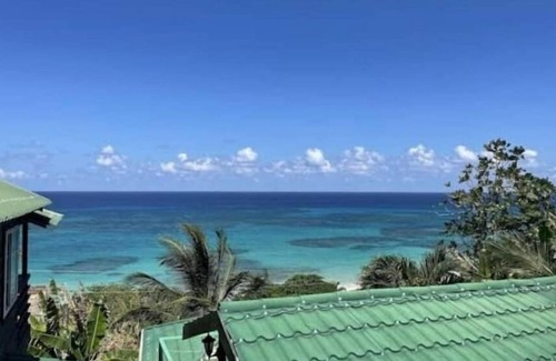 Boston Bay Apartment | Rasta Villa B&B