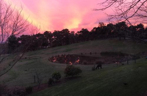 Gruyere House | Raynella Alpaca Farmstay