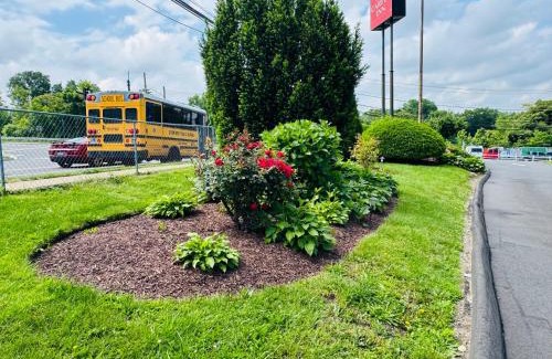 Cove - East Side - Shippan Hotel | Red Carpet Inn - Stamford
