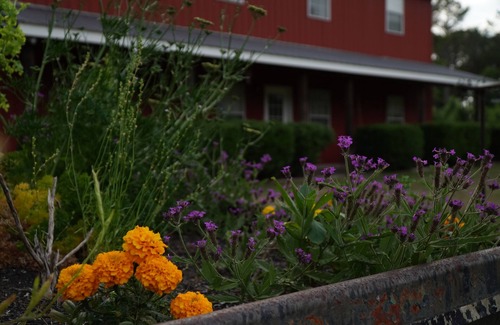 Manchester House | Red Dog Farm North Pine