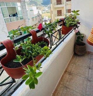 Tetouan Apartment | Redouan fadill