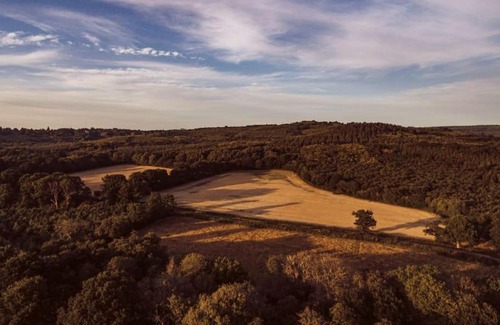 Haslemere House | Redwood - the BIG yurt