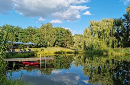 Kiskunmajsa House | Reethouse Nature Resort - Pool Sauna Swimming pond