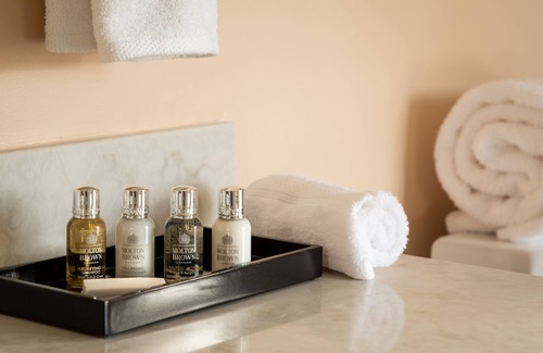 Roanoke Hotel | Refined and Cozy in Boutique, Historic Hotel Close to Restaurants, Shops & More!