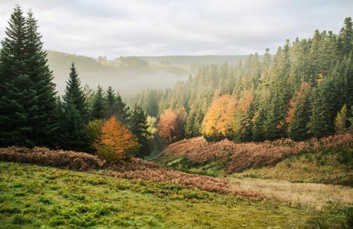 Riotord House | Refuge panoramique en Haute-Loire