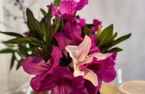 Campos do Jordao Apartment | Refugio das Flores